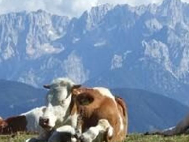 Blick auf die Julischen Alpen
