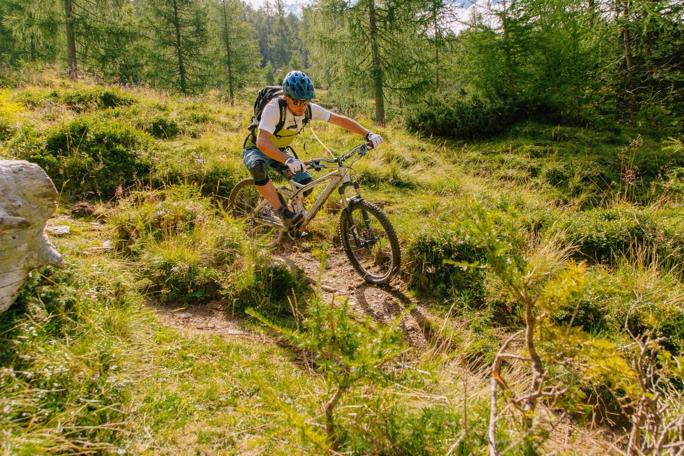 Wieserwald-Tour | nock/bike Tour 19 mit Trail T19