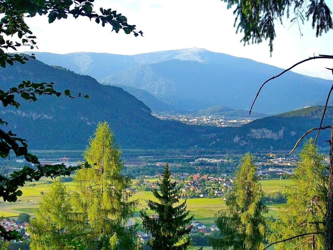 Steinberg