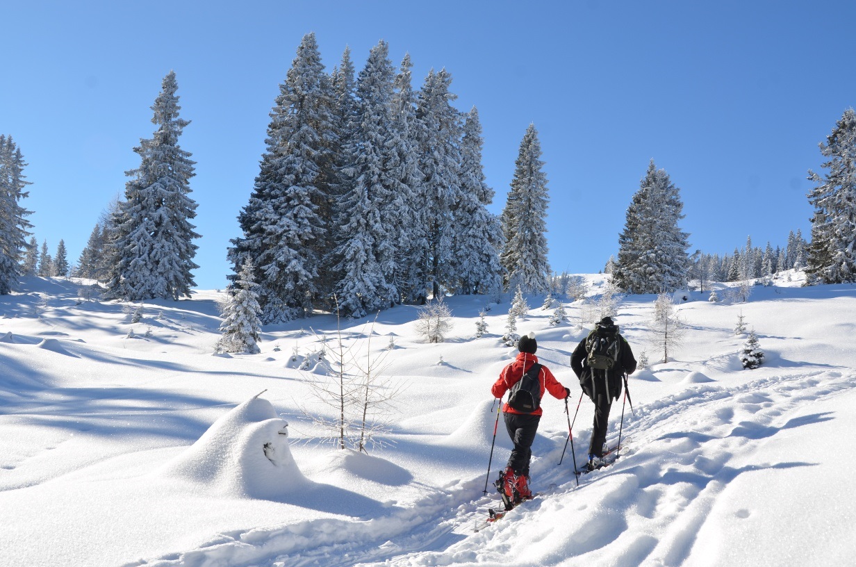 Dobratsch - Heiligengeist bis Rosstratte