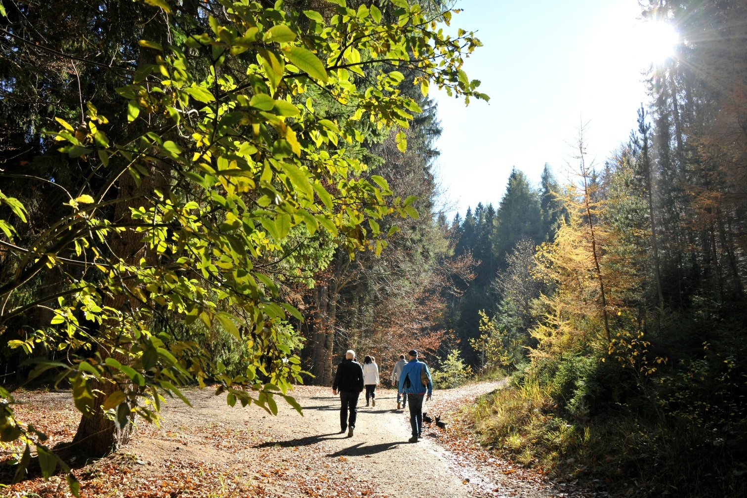Hundsmarhof