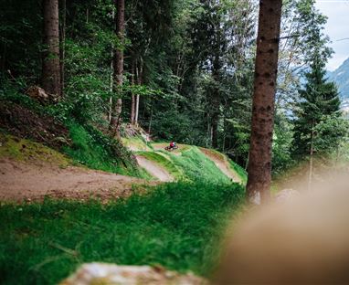 Alban Berg Trail
