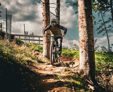 Comgartner Trail T49