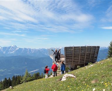 Gams- und Gipfelblick