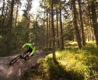Kopein Trail