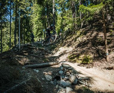 PROlitzen Trail