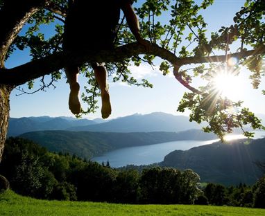 Rundwanderung Amberg-Schwarzsee