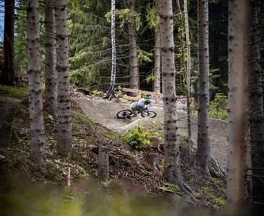 Sisgartner Trail T46