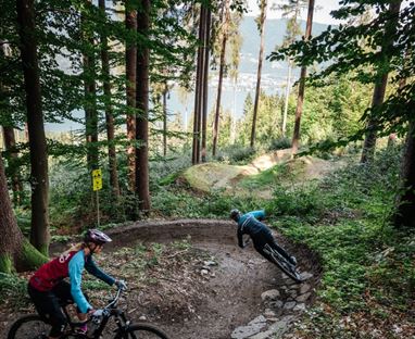 Trail Andy