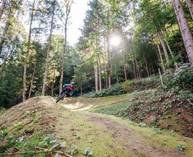 Trail Durren Van