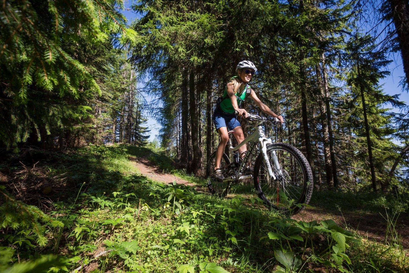 Tour rund um den Oswaldiberg - Nr.4