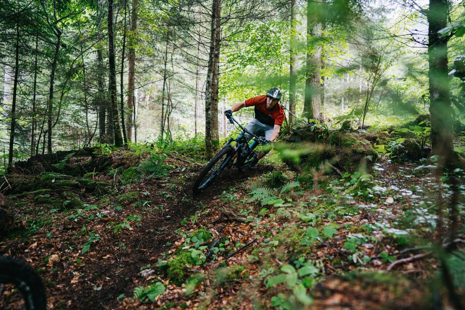 Blairwitch Trail - T27