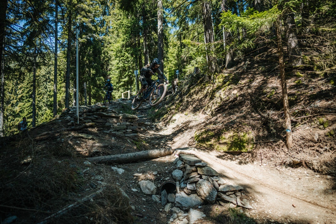 PROlitzen Trail - T34