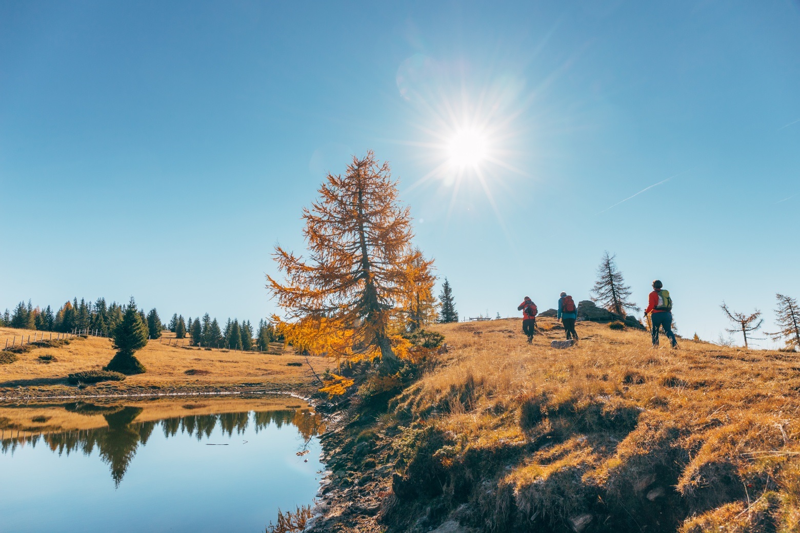 Panoramaweg Schwarzsee - Palnock