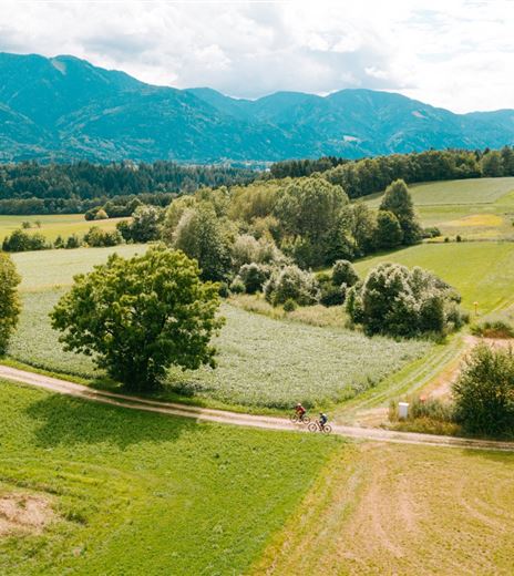 Faak Dobrova - Nr. 21