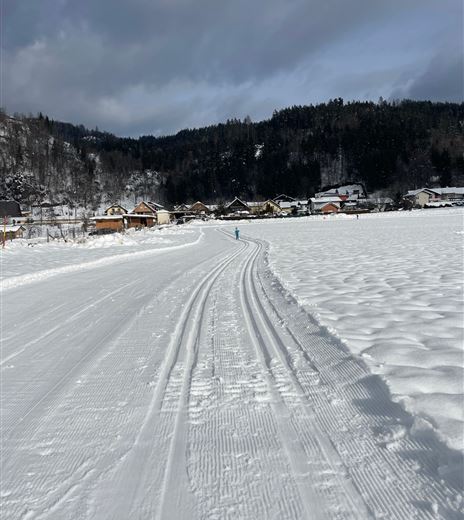 Gratschach