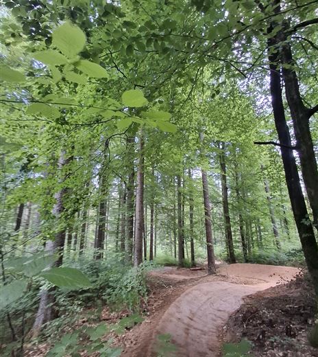 Kathi Truppe Trail T52